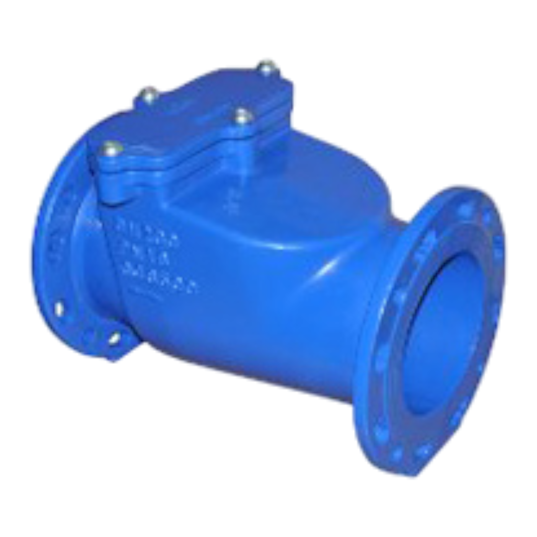 ACMO check valve