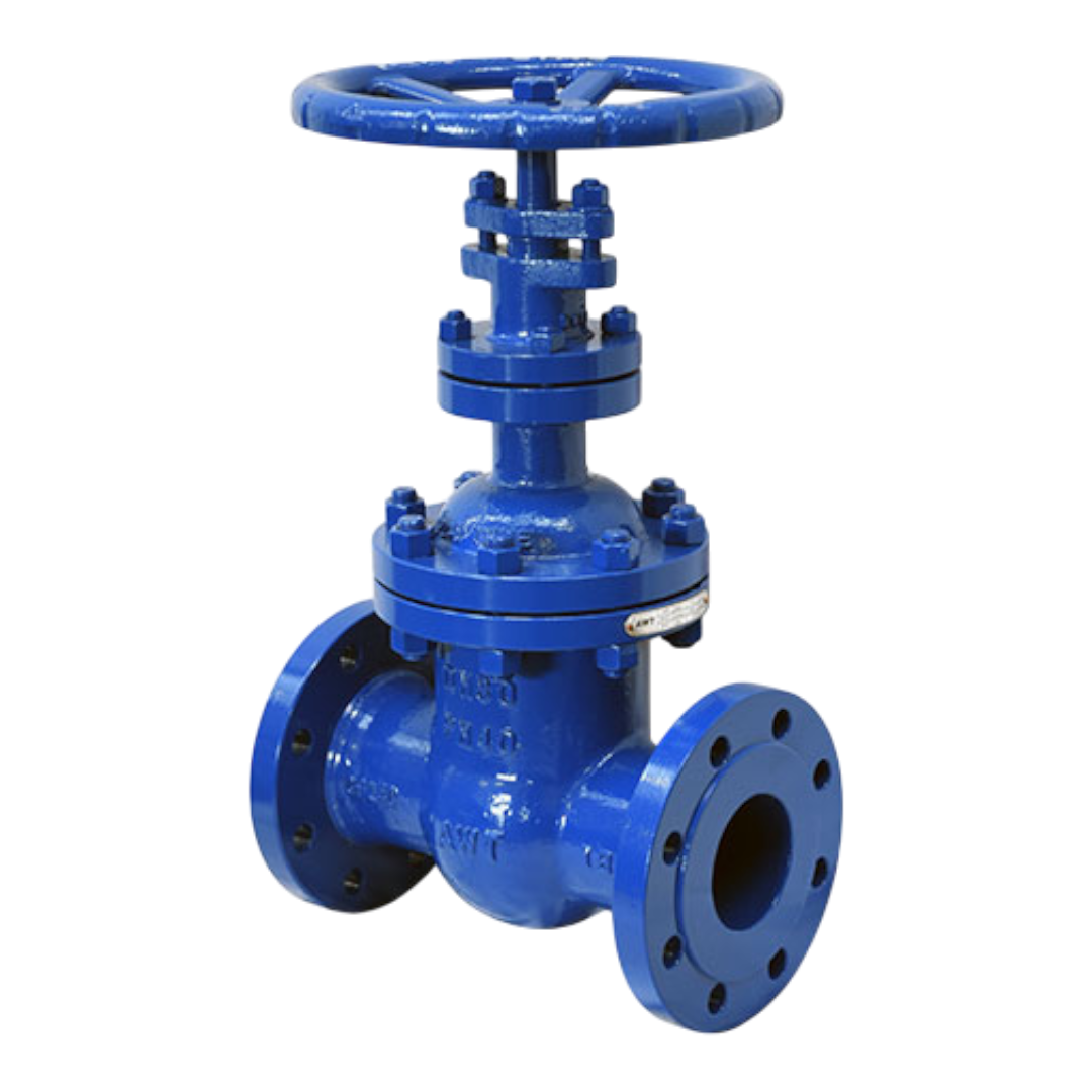 ACMO gate valve